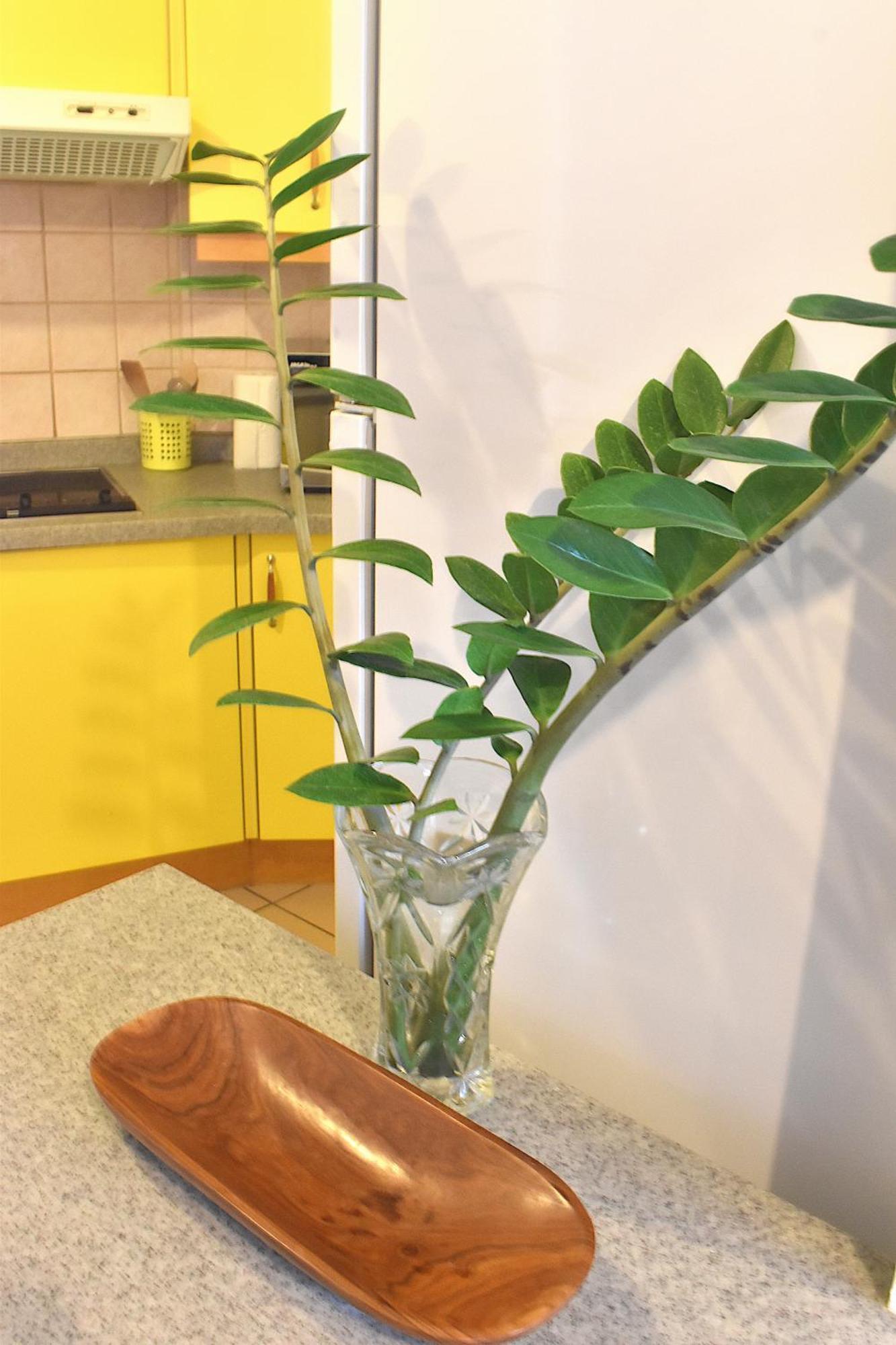 Anani Paofai Apartment Папеете Екстериор снимка